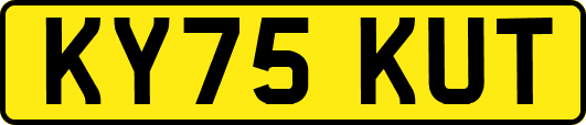 KY75KUT
