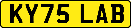 KY75LAB