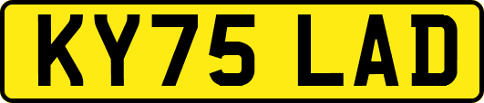 KY75LAD