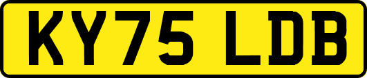 KY75LDB