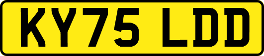 KY75LDD