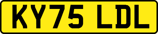 KY75LDL