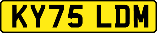 KY75LDM