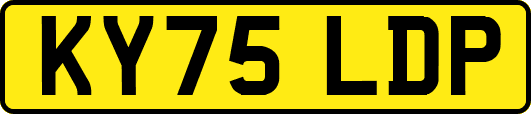 KY75LDP
