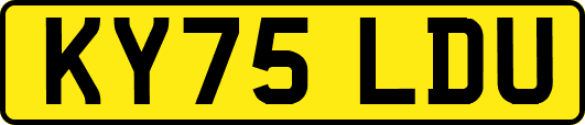 KY75LDU