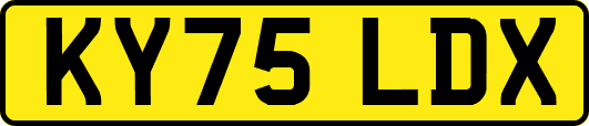 KY75LDX