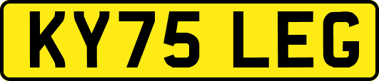 KY75LEG