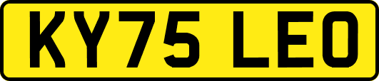 KY75LEO