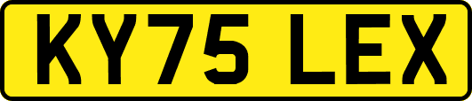 KY75LEX