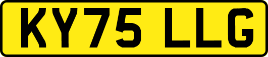 KY75LLG