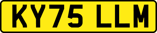 KY75LLM