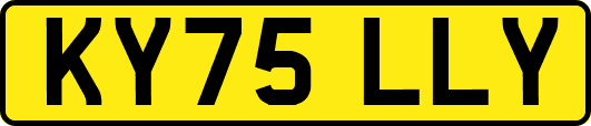 KY75LLY