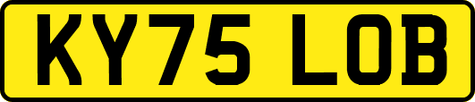KY75LOB