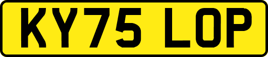 KY75LOP