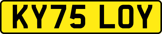 KY75LOY