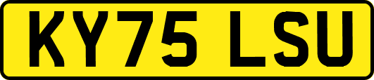 KY75LSU