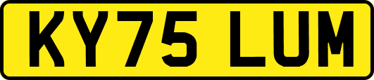 KY75LUM