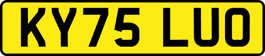 KY75LUO