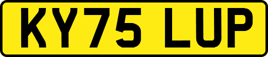 KY75LUP