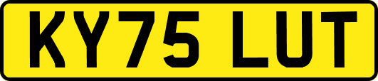 KY75LUT