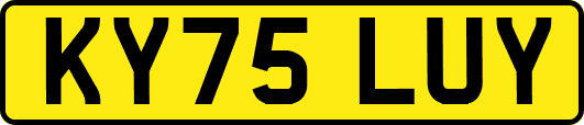 KY75LUY