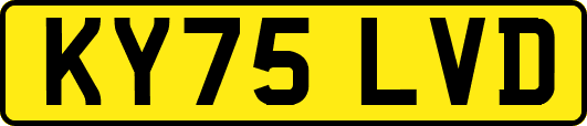 KY75LVD