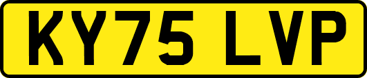 KY75LVP