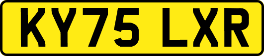 KY75LXR