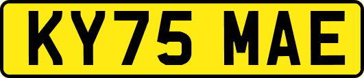 KY75MAE