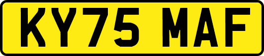 KY75MAF