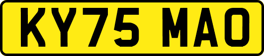 KY75MAO