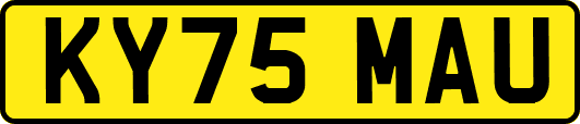 KY75MAU