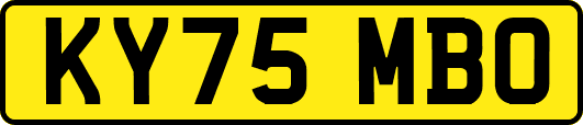KY75MBO
