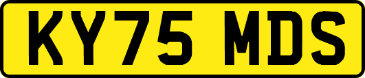 KY75MDS