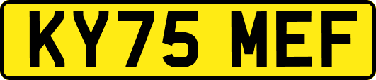 KY75MEF