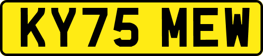 KY75MEW