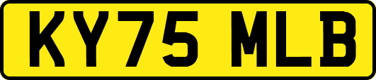KY75MLB