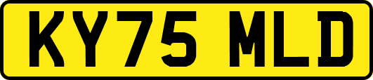 KY75MLD