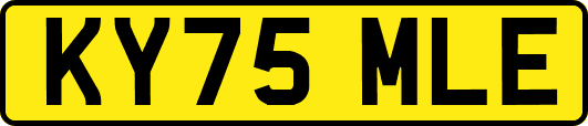 KY75MLE
