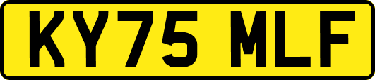KY75MLF