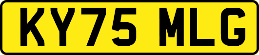KY75MLG