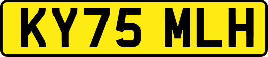 KY75MLH