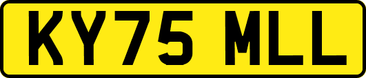 KY75MLL