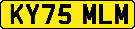 KY75MLM