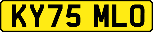 KY75MLO