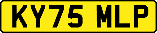 KY75MLP