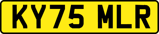 KY75MLR