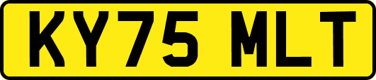 KY75MLT