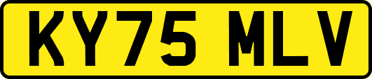 KY75MLV