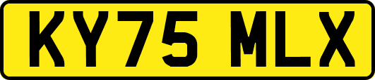 KY75MLX